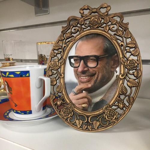 Jeff Goldblum's Face Put In Every Frame At Op Shop