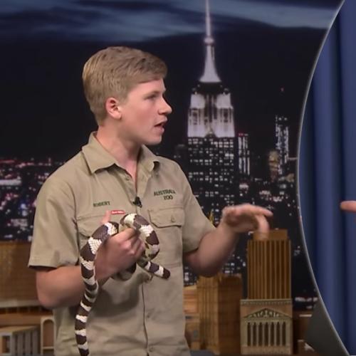 Kevin Hart Says He'll ‘Fight’ Bob Irwin On The Tonight Show