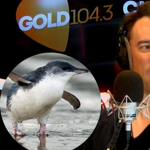 Christian Gets Schooled On Penguins