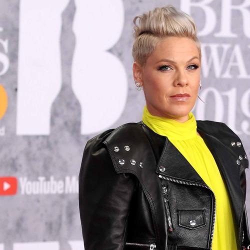 Pink's Epic Clapback At 'Confused' Troll