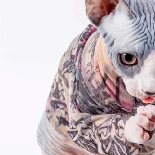 You Can Now Style Your Cat With Tattoo Sleeves
