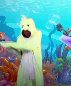 Baby Shark News And Videos