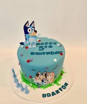 bluey obsess