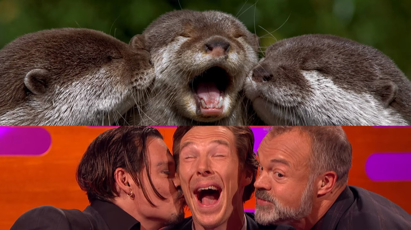 Benedict Cumberbatch Otter Graham Norton Show