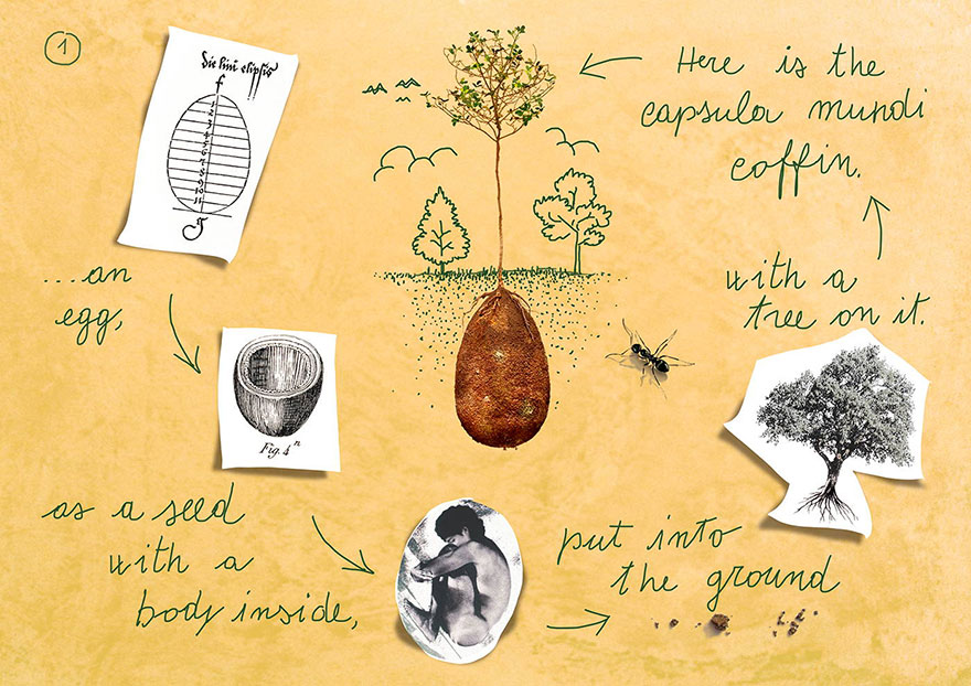 biodegradable-burial-pod-memory-forest-capsula-mundi-3.jpg