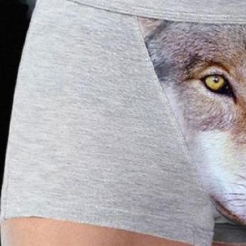 So, These Wolf Print Undies Are A Thing Now...