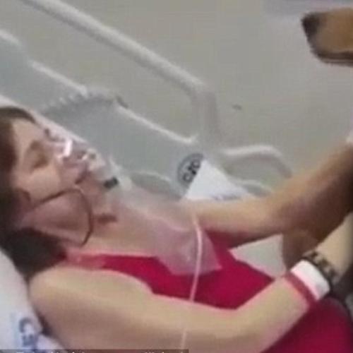 Terminally Ill Mother With Cancer Is Reunited With Her Dog