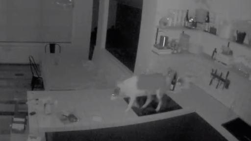 Spy Cam In Jack's Kitchen