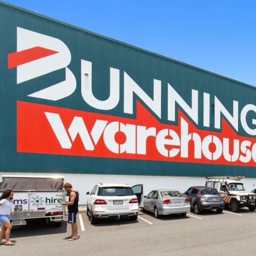Bunnings Have Just Revealed The Biggest Game Changer In The Indoor Plant Industry