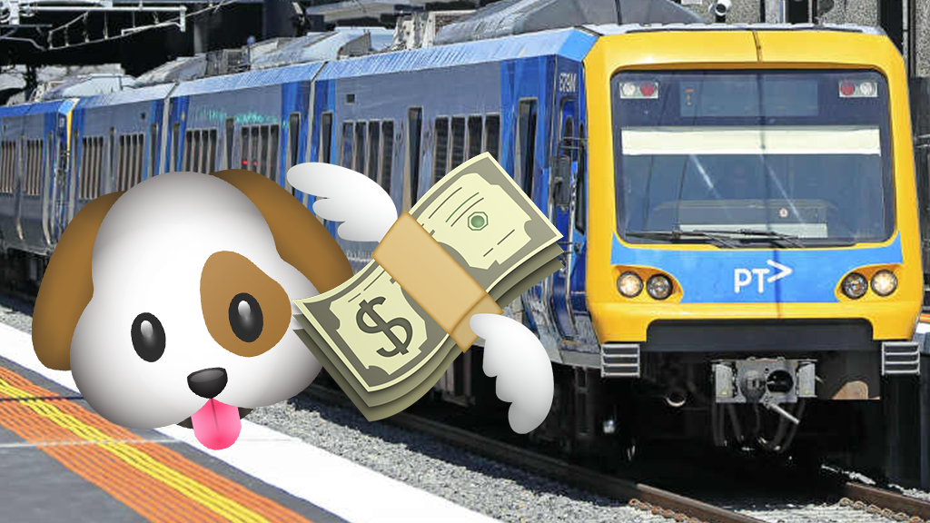 Can Dogs Go On Trains In Victoria
