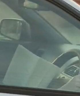 Police Throw The Book At Motorist For Reading While Behind The Wheel