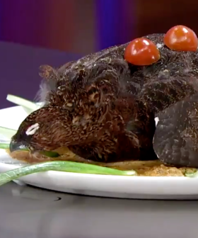 A Angry Masterchef Contestant Served An Awful Dish To The Judges And Here's Hoping It Never Happens Again