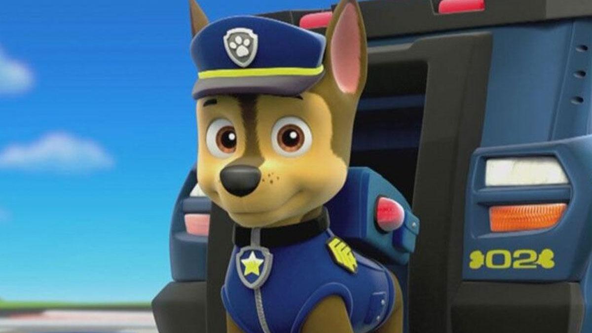 paw patrol pup in wheelchair