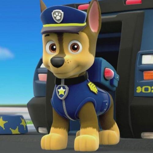 People Are Now Calling For The Cancellation Of 'Paw Patrol' Amid Black Lives Matter Movement