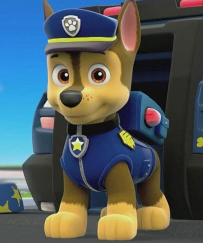 People Are Now Calling For The Cancellation Of Paw Patrol Amid Black Lives Matter Movement