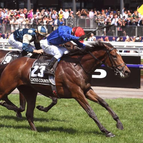 Victoria Says "Yeah, Nah" To Sydney's Offer To Host This Year's Melbourne Cup