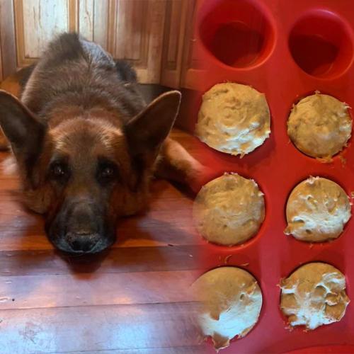 This Pet Owner Made Pupcakes For Her Dog’s Birthday In Her Air Fryer