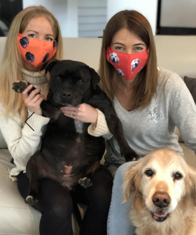 You Can Buy Face Masks With Your Pets Face On Them – And Proceeds Go To Charity