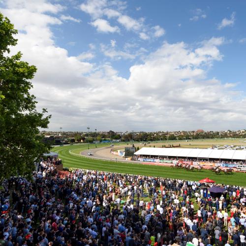 No Go: Hours After Being Announced, No Crowds Will Be Allowed At Cox Plate