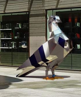 This Aussie Mall Has A New Sculpture...And It's A $174,000 Giant Pigeon