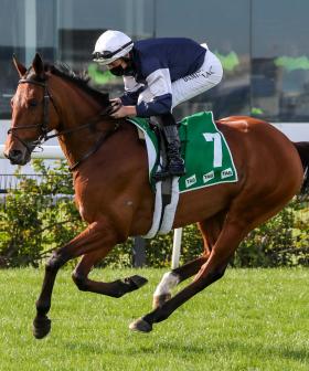 King Of Leogrance Scratched From 2020 Melbourne Cup
