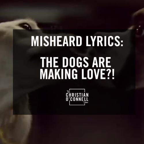 Misheard Lyrics: The Dogs are Making Love?!