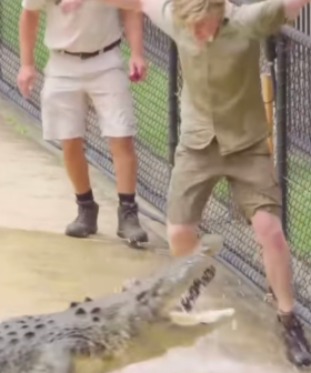 Robert Irwin Lunged At By Massive Crocodile In Frightening Close Call