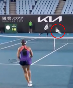 Seagulls Invade Play At The Australian Open On A Quest For Hot Chips