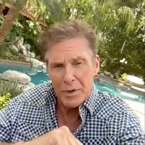 How Much Does It Cost To Get The Hoff To Wish You A Happy Birthday?