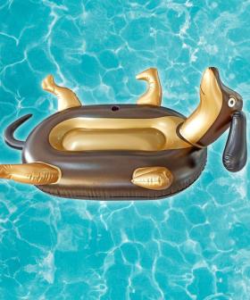 You Can Now Get A HUGE Dachshund Pool Inflatable, Just In Time For Summer!