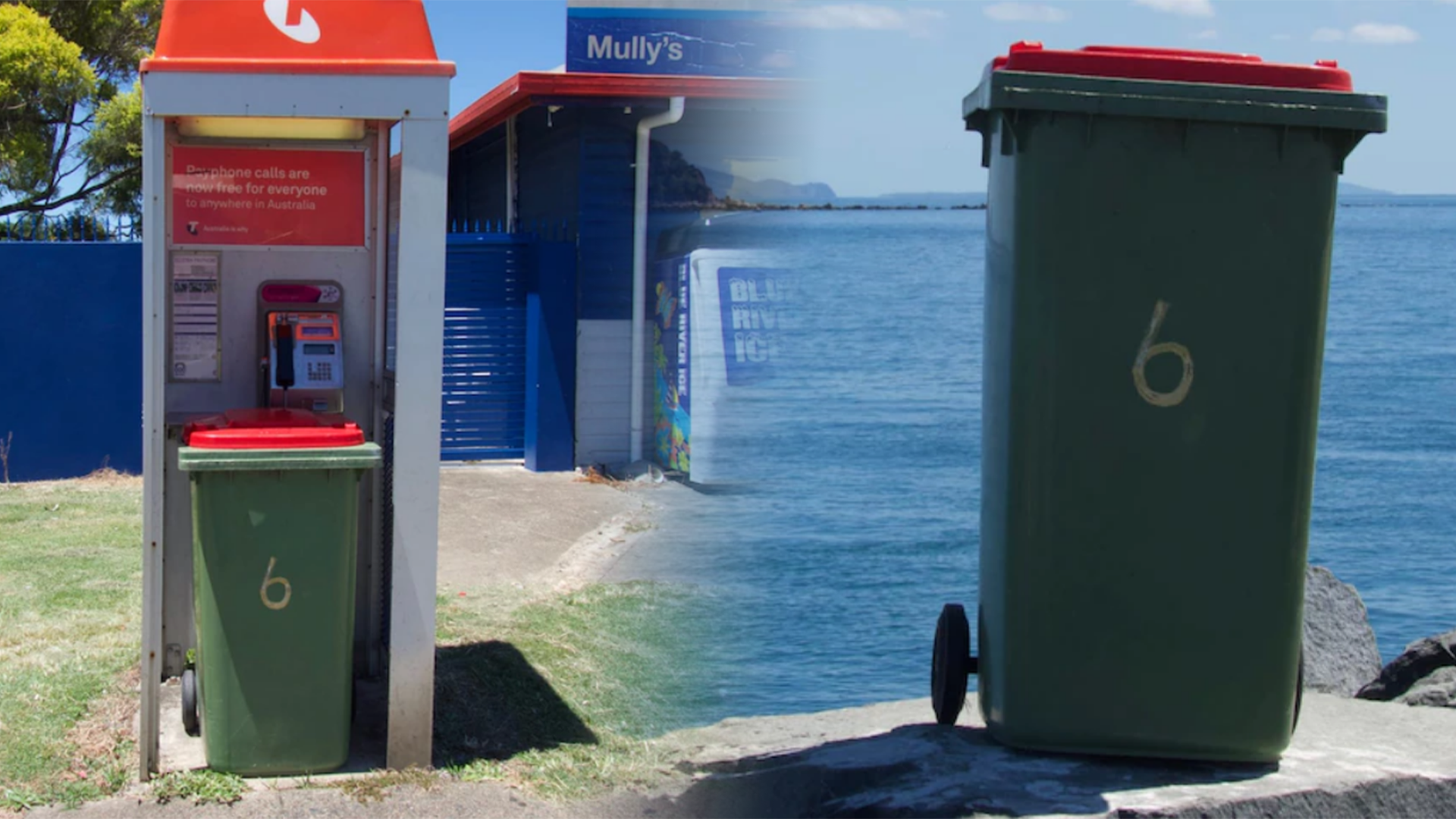 Aussie Neighbour Literally Took The 'Bin Out' As A Favour...