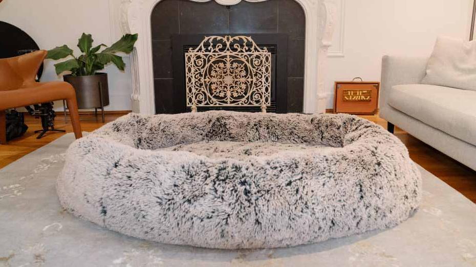 Giant Dog Beds For Humans Now Exist I Will Pay Any Amount For This giant-dog-beds-for-humans-now-exist-i-will-pay-any-amount-for-this