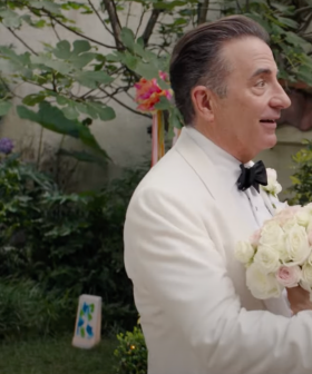 A New "Father Of The Bride" Movie Is Coming To Foxtel - Check Out The Trailer Here!