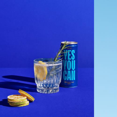 Non-Alcoholic Legends Won't Miss Out On National Gin Day With These G&T's