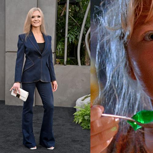 Jurassic Park Child Star Ariana Richards Returns To Red Carpet For The First Time After Quitting Acting