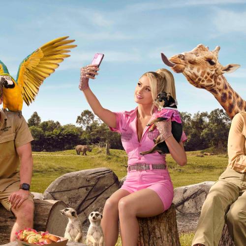 Paris Hilton Named A Giraffe At Australia Zoo!