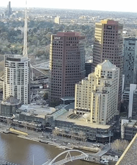 The Peregrine Falcons at 367 Collins Street Are Back!!