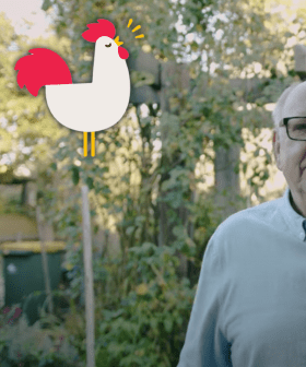 The Inventor Of Chicken Salt Has Revealed All His Secrets!