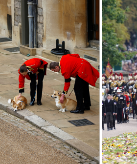 The Queen's Corgis Muick And Sandy And Fell Pony Emma Welcomed Her Home To Windsor Castle