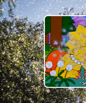 Grab That Antihistamine, Melbourne Is About To Be Bombarded With Pollen!
