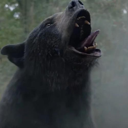 Just How True Is The 'True Story' Behind The 'Cocaine Bear' Movie?