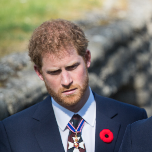 Harry Claims William 'Screamed' At Him In New Doco Episodes