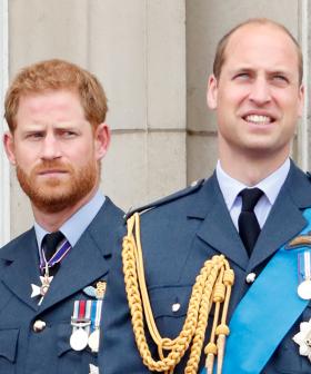Prince Harry Claims He Was Born In Case His Brother Needed An Organ Transplant