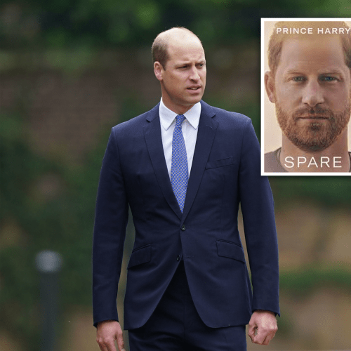 Harry's Memoir Sheds Light On Royal Bust-Ups