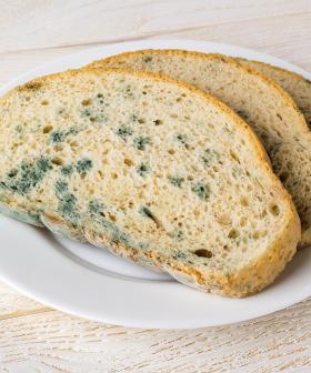 Here's Why You Should NEVER Eat The "Clean" Part Of Mouldy Bread