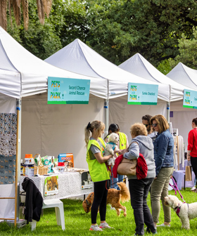 Stonnington’s Pets in the Park Event Returns Sunday March 26th!