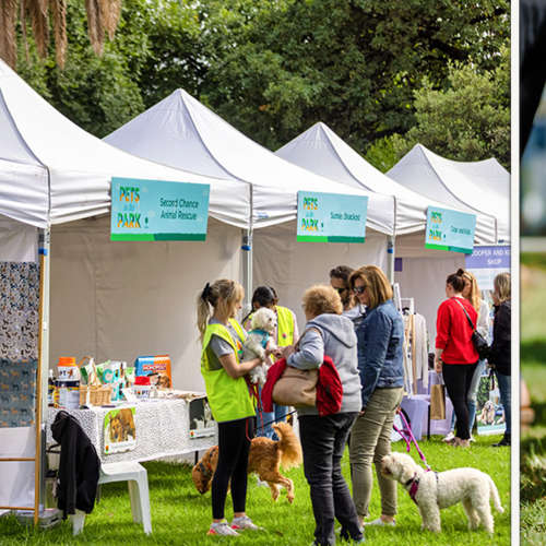 Stonnington’s Pets in the Park Event Returns Sunday March 26th!