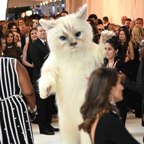 Jared Leto Dressed As A Cat At The 2023 Met Gala Is A Must-See