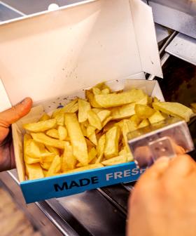 We Knew Fried Food Was Bad, But This Might Get You Avoiding Hot Chips Forever