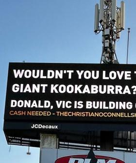 "Wouldn't You Love To See A Giant Kookaburra?? Come To Donald!"